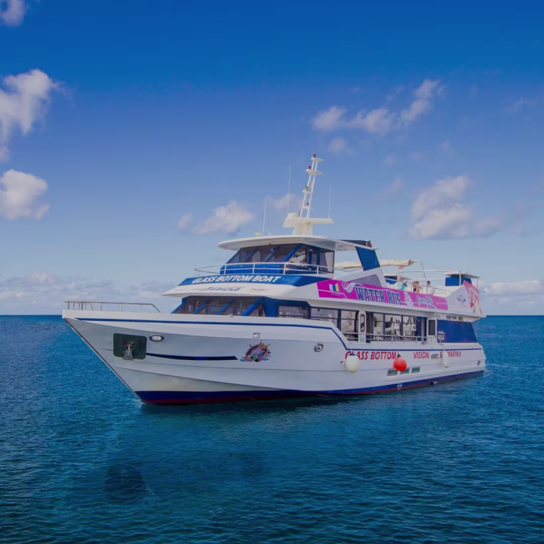 Un Waterbus transportando turistas